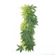 thumbnail image 2 of Plantas falsas para reptiles, plantas de reptiles, plantas de reptiles, decoraciones para peceras, plantas colgantes de terrorio de seda con ventosa para dragones barbudos,, 2 of 7