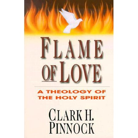 Flame of Love : Three Views on the Destiny of the Unevangelized