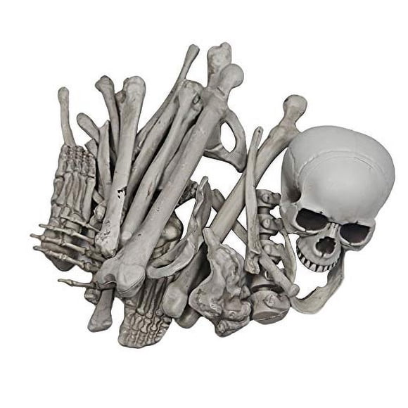 Bolsa de fiesta MOKRY con cráneo de esqueleto a tamaño real para cementerio de Halloween. Incluye 28 piezas