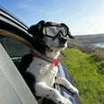 thumbnail image 1 of EIMELI Pet Fashion Plastic Glasses For Resistant To UV Hunting Training Camping, 1 of 6
