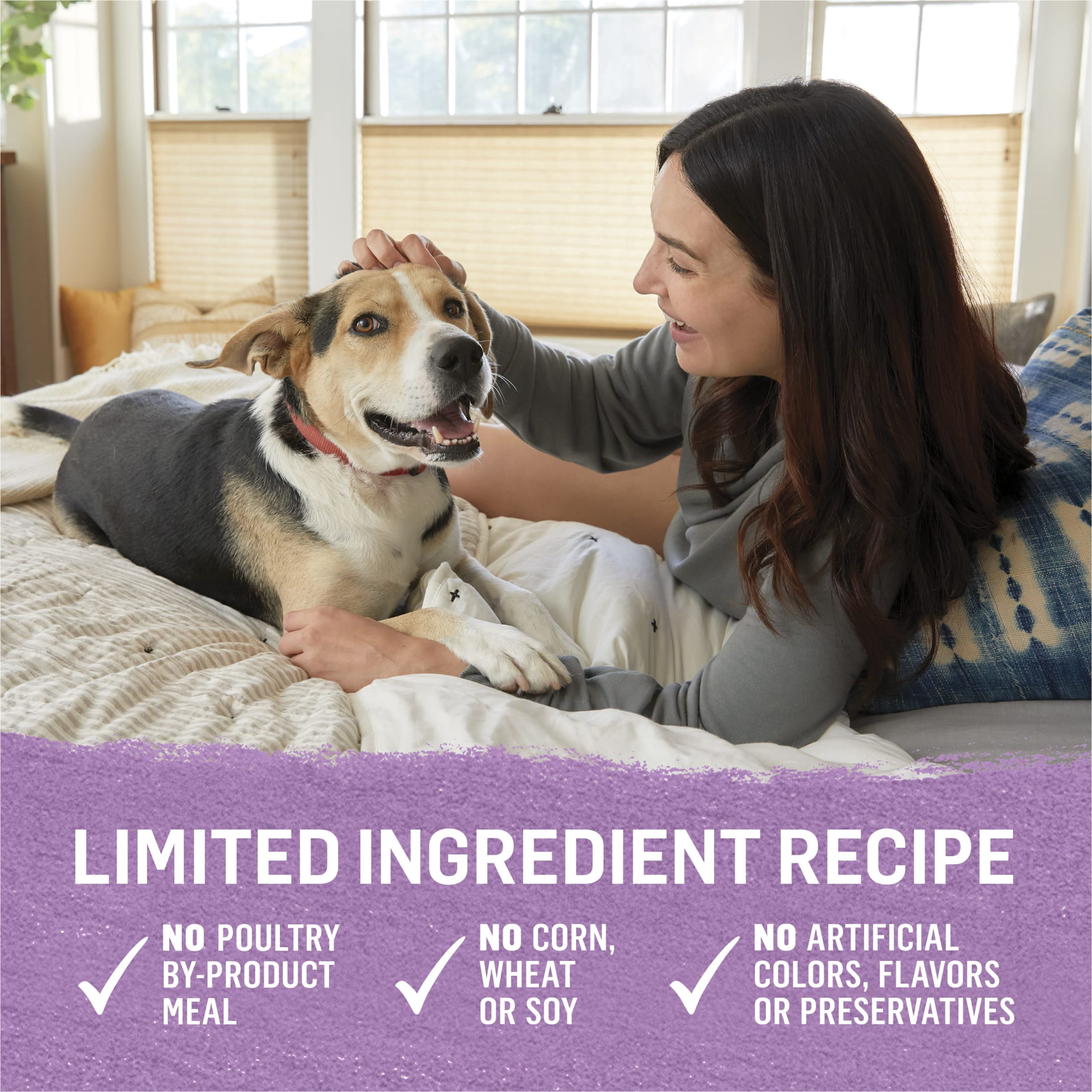 Purina Beyond Immune Health Wet Dog Food Natural Soft Turkey & Green Bean, 12.5 oz Can