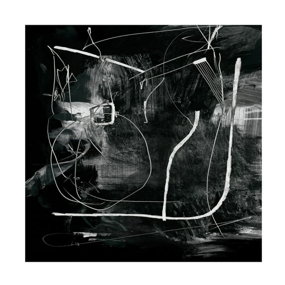 Trademark Fine Art Dan Hobday Mono Canvas Wall Art