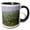 Black/White, variant on 3drose, Alpine Wildflower, Mount Rainier Np, 11oz Two-tone Yellow Mug