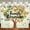 5x3FT, variant on Family Reunion Backdrop Green Stripe Family Tree Reunion Decorations Welcome to Our Family Members Photography Background Welcome Family Gathering Banner Supplies Photo Props