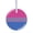 Bisexual, variant on 1 Pack - LGBTQ+ Trans Ally Pride Flag Tempered Glass Christmas Ornament and Home Decor - 3 Inch Round