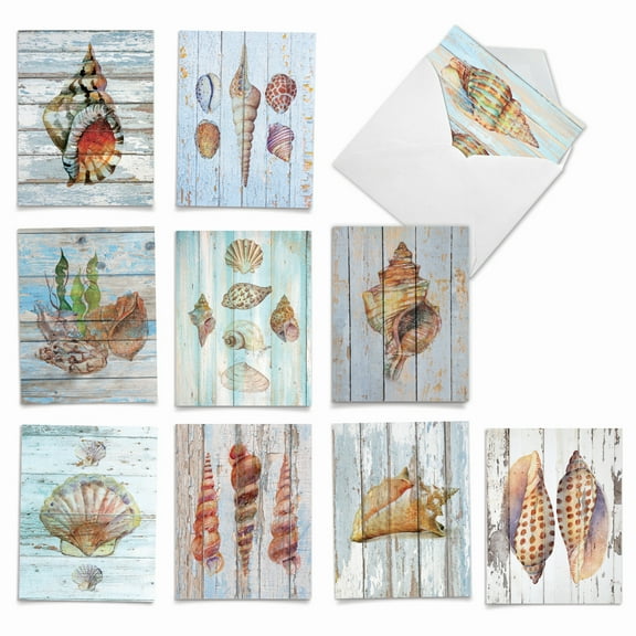 10 Assorted All Occasion Blank Note Cards with Envelopes (4 x 5.12 Inch) - Seashell Driftwood
