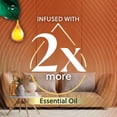 thumbnail image 4 of Scented Oils Refills Air Wick Plug In Harvest Pumpkin + Spice, 4 of 4