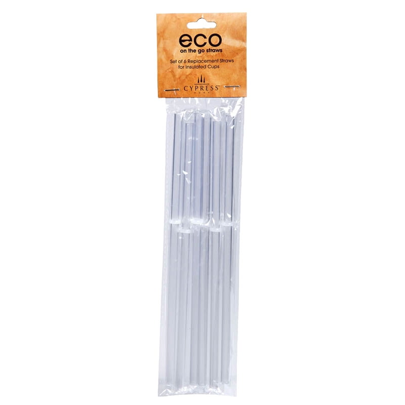 Acrylic Straws Set of 6