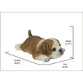 thumbnail image 4 of Bulldog Fridge Magnet - Statue, 4 of 4