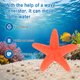 thumbnail image 2 of Paquete de 20 decoraciones de estrella de mar, decoración de mini estrella de mar de PVC de 0.9" para acuario/decoración de pecera/playa [Naranja], 2 of 6