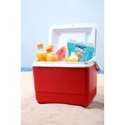 Freez Pak Medium Extra Cold Reusable Ice Pack with Hard Shell 2.85 lbs, 8.5 Inches