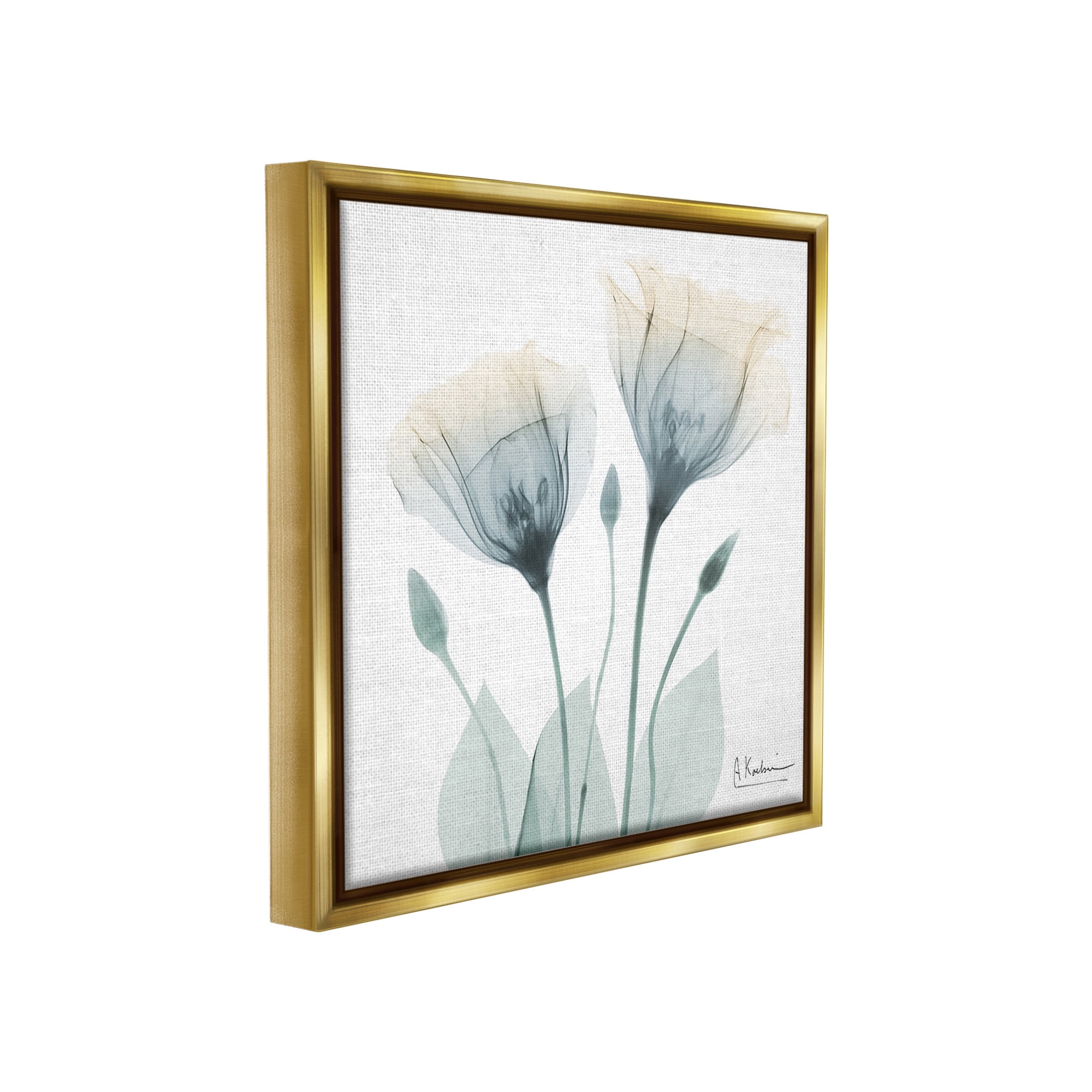 Stupell Industries Opaque Tulip Duo Botanical & Floral Photography Gold Floater Framed Canvas Art Print Wall Art, 18 x 18