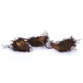 thumbnail image 2 of Van Zyverden Woodland Plant Lady Fern 3 Plant Roots Green Partial Shade Ornamental/Decorative 1 lb, 2 of 6