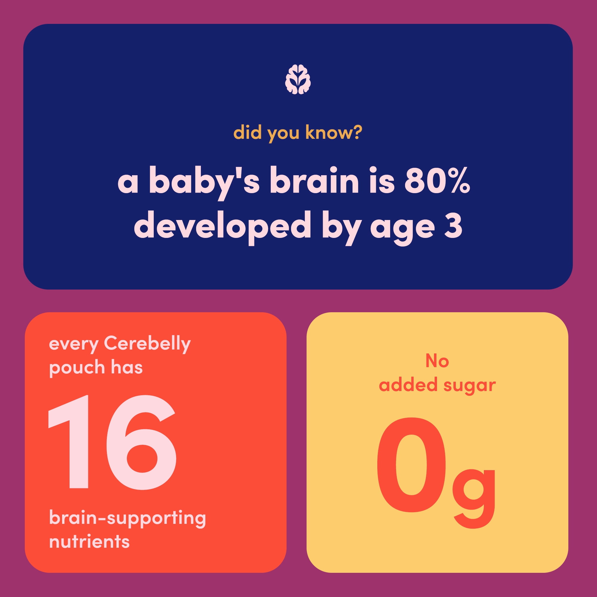 (6 pack) Cerebelly Organic Stage 2 Beet Carrot Blueberry with Coconut Milk Baby Food, 4 oz Puree