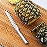 Rada Cutlery Stubby Butcher Knife, Silver Handle, Pack of 2