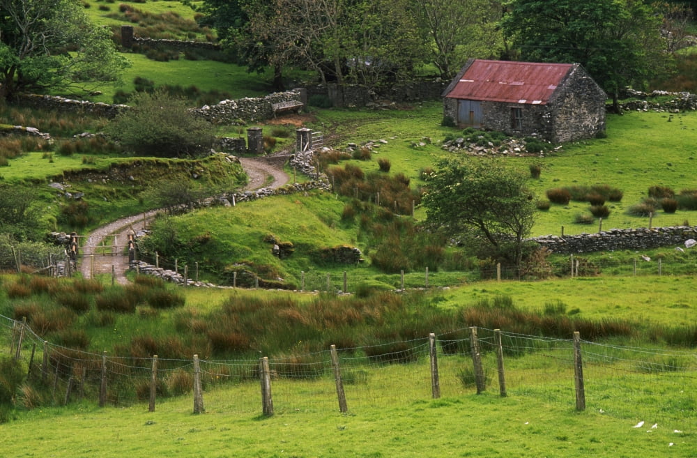 Traditional Cottages Dan Oharas Cottage Connemara Heritage Centre Canvas Art - The Irish Image Collection Design Pics (18 x 12)