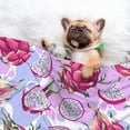 thumbnail image 3 of Yiaed Dragon Fruit Print Dog Blankets-Cat Blanket Washable for Couch Protection,Puppy Blanket, Soft Plush Reversible Throw Furniture Protector-Medium, 3 of 8