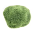 thumbnail image 2 of Wosthever Adorno de terrario Rainforest Diorama Supplies Faux Moss Enchanted Semi-handmade Floral Surtido Green-cover Decoración del hogar Nº 110 9*10cm, 2 of 6