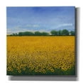 thumbnail image 1 of Epic Graffiti 'Field of Sunflowers II' by Tim O'Toole, Canvas Wall Art, 26"x26", 1 of 2