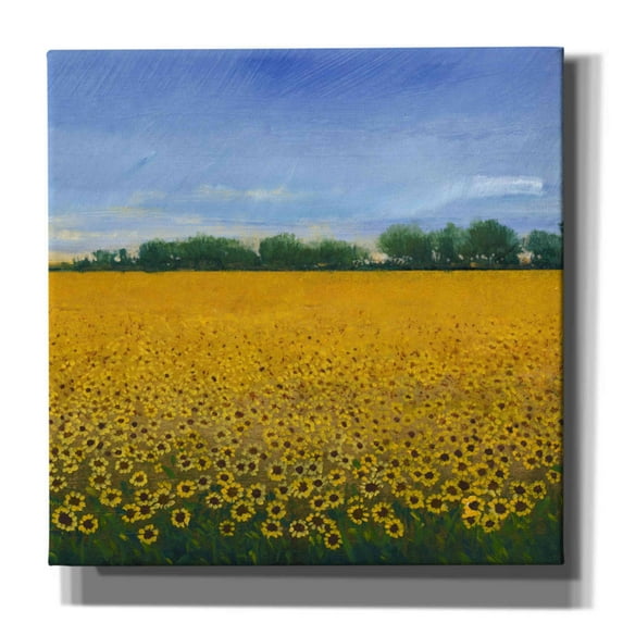 Epic Graffiti 'Field of Sunflowers II' by Tim O'Toole, Canvas Wall Art, 26"x26"
