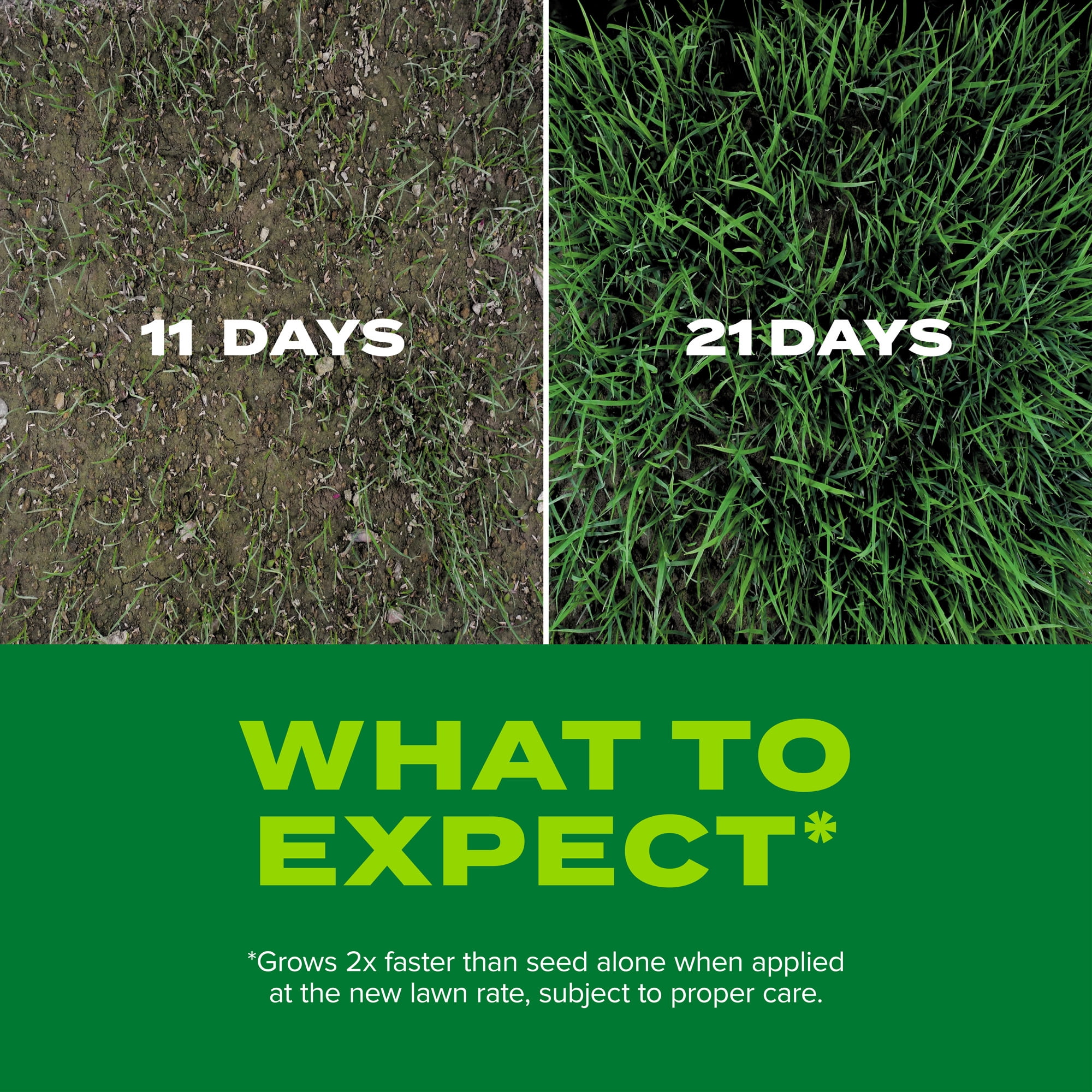Scotts Turf Builder Rapid Grass Tall Fescue Mix, Grass Seed and Fertilizer, 2.4 lbs.