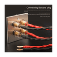 thumbnail image 3 of Connector Banana for Speakers Home Theater(Single Wall Plate), 3 of 6