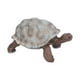 thumbnail image 2 of Figuras de tortuga, modelo de tortuga, figuras de animales salvajes, juguete educativo para niños pequeños, 2 of 14