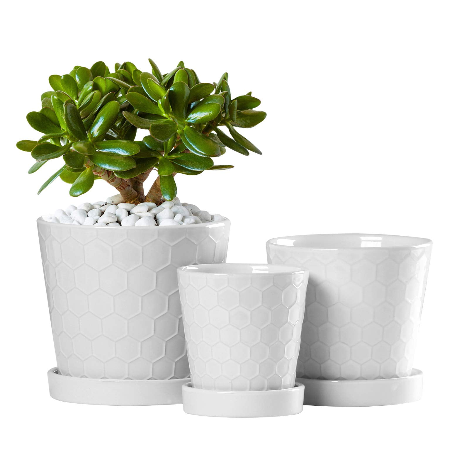 BUYMAX Succulent Planter 4”+5”+6” inch Ceramic Flower Pot with