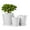 456White, variant on BUYMAX 4+5+6 Inch Set of 3 Ceramic Plant Pots, White, Nature Flower Pots with Drainage Hole and Tray Indoor Planter Pots