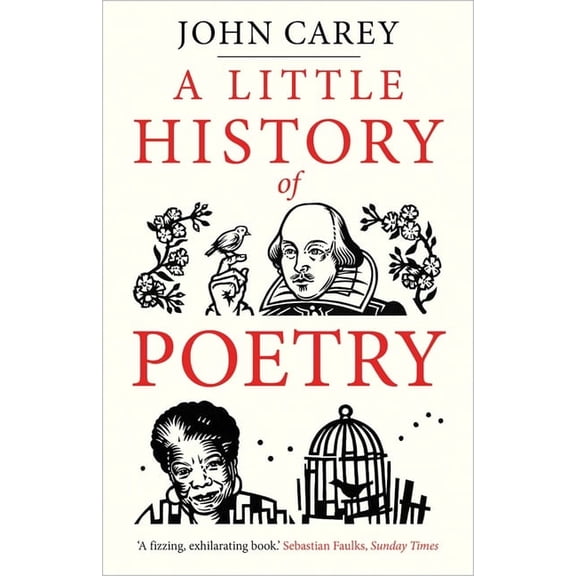 Little Histories A Little History of Poetry, (Paperback)