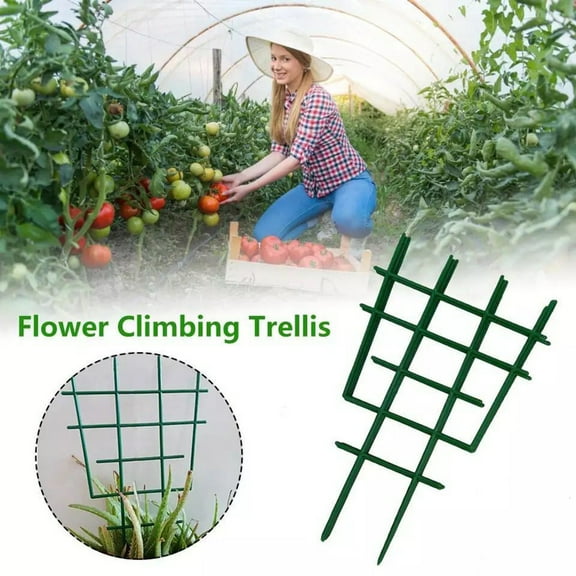 Plant Support Rings for Climbing Plants | Plastic Mini Garden Trellis DIY Green Supports for Flowers, Clematis, Tomato, Cucumber | 12 Inch Length x 6.5 Inch Width | 1/2-Pack | Plant Training Clips