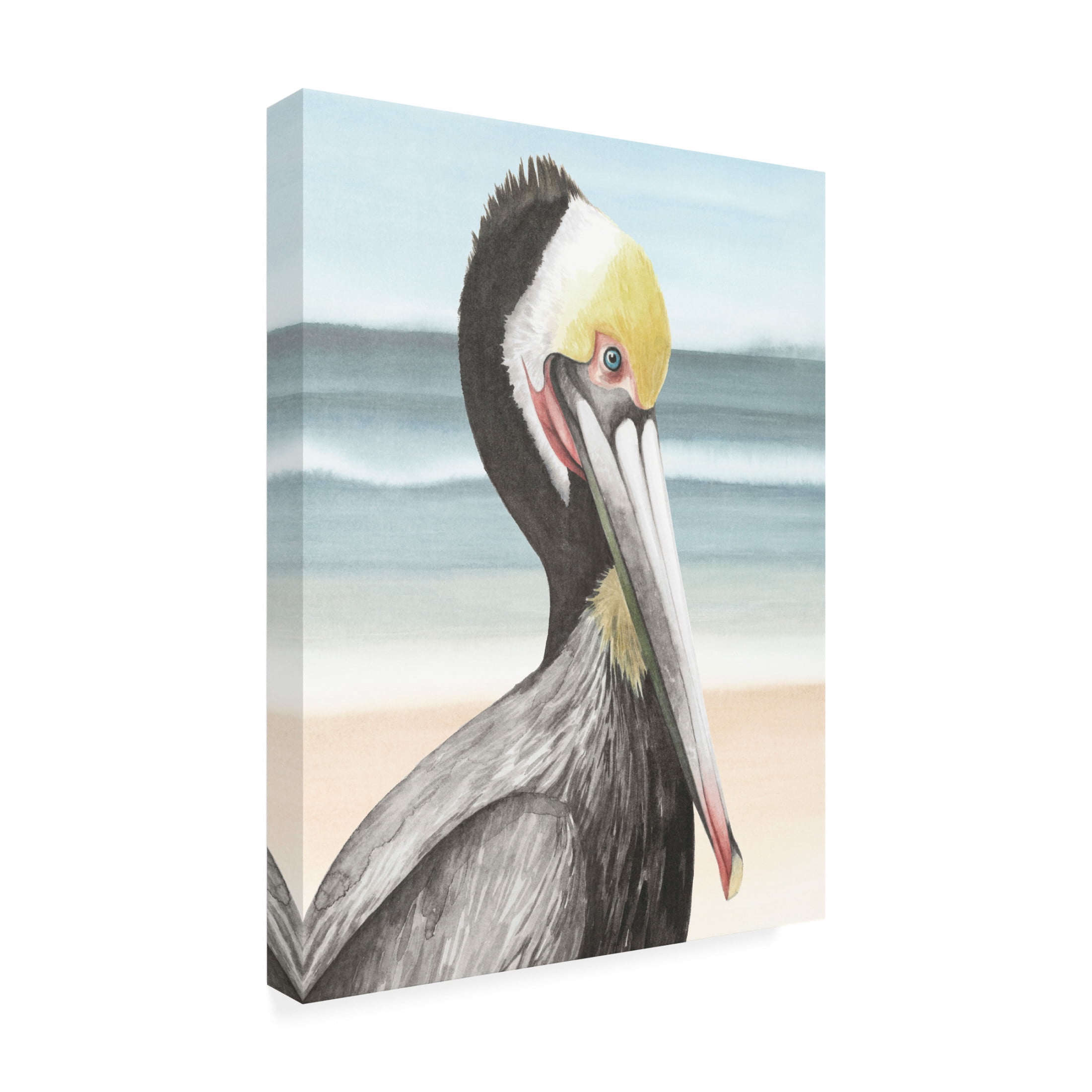 Trademark Fine Art Grace Popp  Pelican Beach I Canvas Wall Art