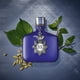 thumbnail image 4 of JOHN VARVATOS XX INDIGO Edt Spray 2.5 Oz John Varvatos John Varvatos, 4 of 9