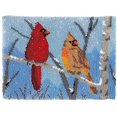 thumbnail image 1 of SAYDY Creative Latch Hook Rug Kits Rug Making Kits for Beginners Adults Kids Tapestry Kits Embroidery Kits Craft Kit Carpet Doormat Gift Home Decoration, 1 of 8