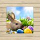 thumbnail image 1 of Toalla de hierba verde ABPHQTO Art Little Easter Bunny And Easter Eggs 33x33 cm, 1 of 1