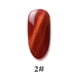 thumbnail image 1 of Esmalte de uñas, regalos para mujeres, 8 ml, pegamento para uñas Sky Cat's Eye, juego de pegamento para uñas, gel artístico, LED, brillo, láser, uñas Cat's Eye., 1 of 3