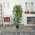thumbnail image 6 of 6' Bamboo Silk Tree, Green Trunks, 6 of 7