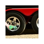 Slime Prevent and Repair Tire Sealant - 32 oz. (All Tires) - 10009