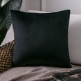 thumbnail image 2 of Phantoscope Silky Velvet Decorative Throw Pillows, 20 x 20 in, Black, 2 Pack, 2 of 7