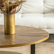 Gexpusm Double layer Coffee Table,Oval Wood Farmhouse with Storage,47.87L x 30W x 17.99H,Brown