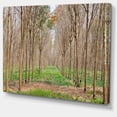 thumbnail image 2 of Beautiful Rubber Plantation Photo - Modern Forest Canvas Art, 2 of 4