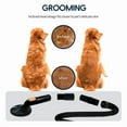 thumbnail image 6 of Pet Grooming Kit,Dog Brush Vacuum Attachment,Brush with Shedding Brush with Extension Tube,for Most Round Vacuum Cleaner, 6 of 7