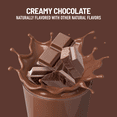 thumbnail image 4 of SlimFast High Protein 20g Ready To Drink Meal Replacement Shake Creamy Chocolate, 11oz, 12ct, 4 of 7