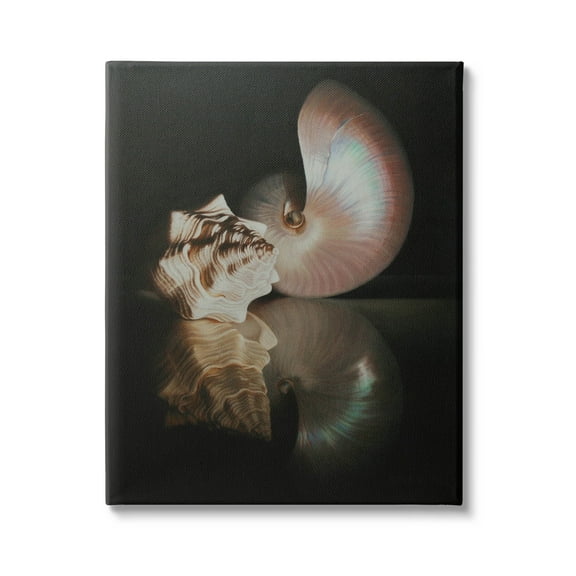 Stupell Industries Dark Sea Shells Still Life Photograph Gallery Wrapped Canvas Print Wall Art, Design by Cecile Baird