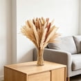 thumbnail image 5 of Dongrere Natural Dried Pampas Grass Bouquet, Neutral Toned Dried Floral, Phragmites Dried Flowers for Home, Wedding Centerpieces, Farmhouse Vases, 15" - 17", 5 of 6