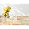 thumbnail image 6 of Fitz and Floyd Meadow Rabbit Earthenware Decorative Figurine, 6 of 8