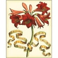 thumbnail image 3 of Vision Studio 20x24 Black Modern Framed Museum Art Print Titled - Ribbon Florals II, 3 of 5