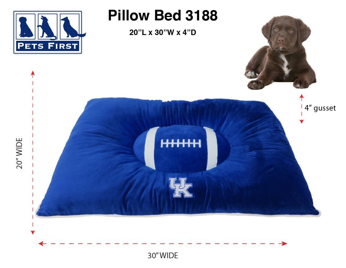 Bed and top pet first