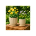 thumbnail image 2 of Decorative Flower Planter with Squoval Pattern and Saucer Plate - Home Decor Plant Pots for Indoor and Outdoor Styling - Perfect Plant Pots Accent for Plant Stand Indoor - Set of 2, 7", 6", Ivory, 2 of 13
