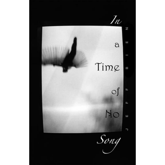 In a Time of No Song (Paperback)